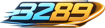3289
